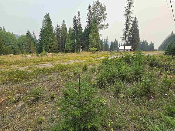 4th image of 12941 Yaak River Rd