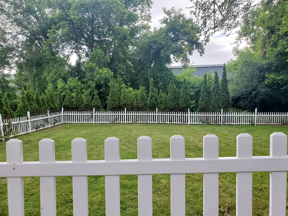 3 bed, $3,000 — Photo 4