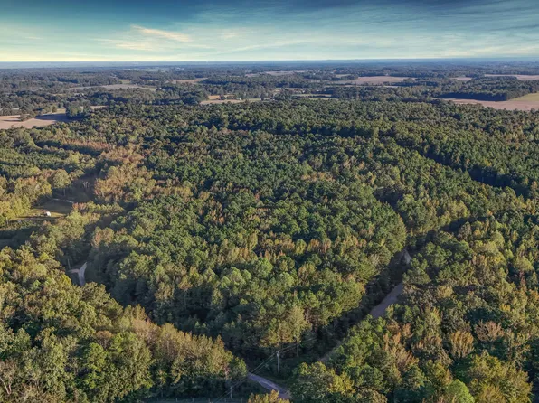 1 Falcon View Rd, Cedar Grove, TN 38321