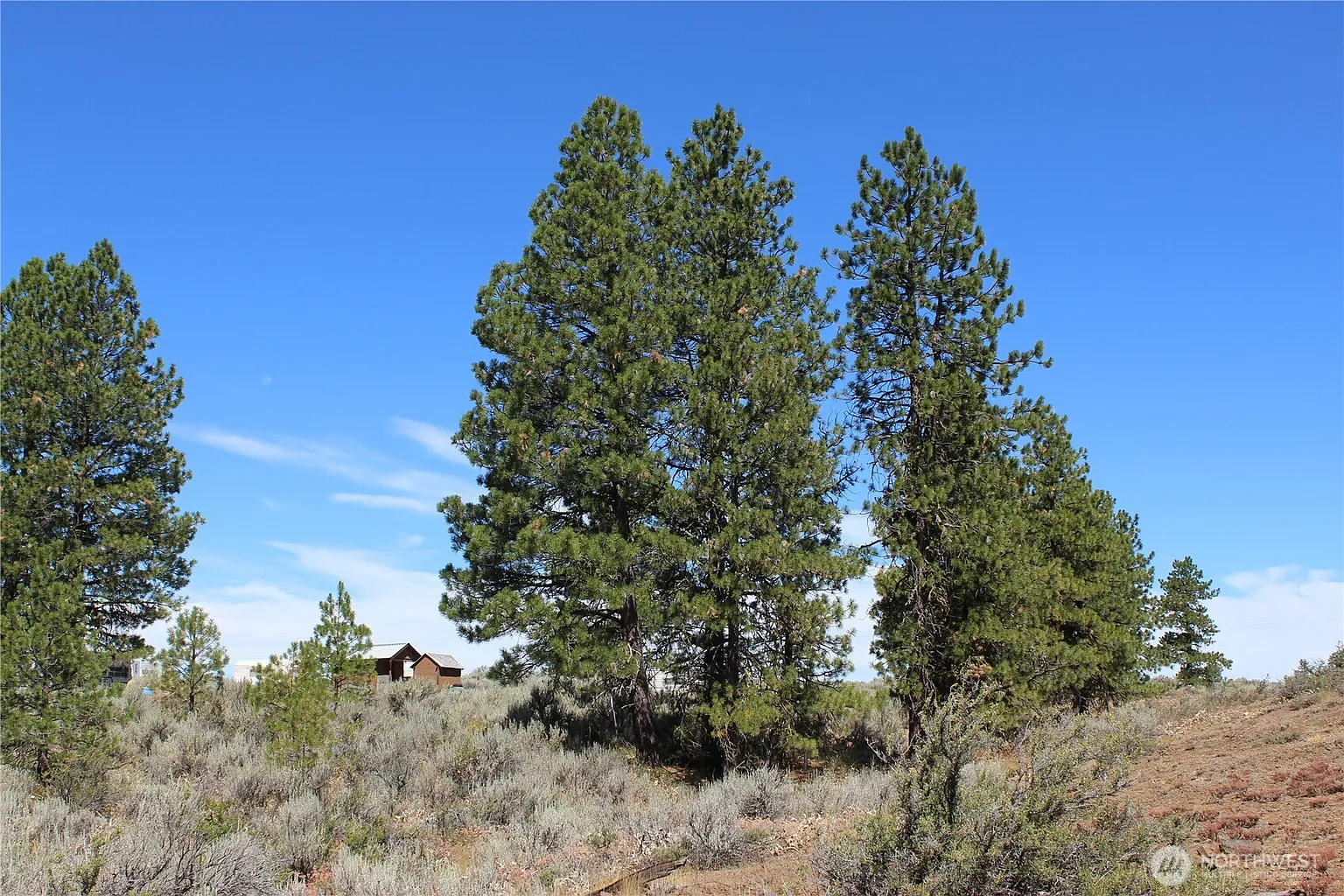 202 Falcon Ridge Road photo 1