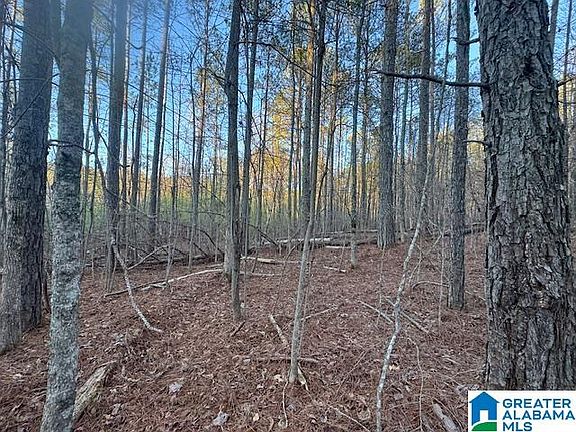 3rd image of 170 Valley Grove Rd