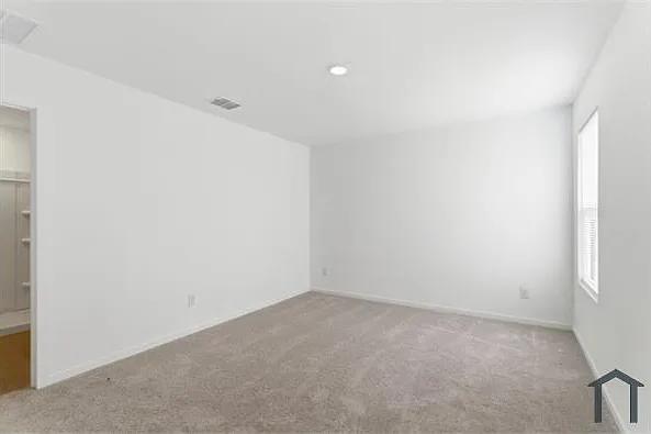 3120 Burmese St — Photo 19