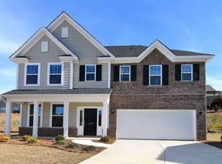439 Maria Posada Ct, Chapin, SC 29036