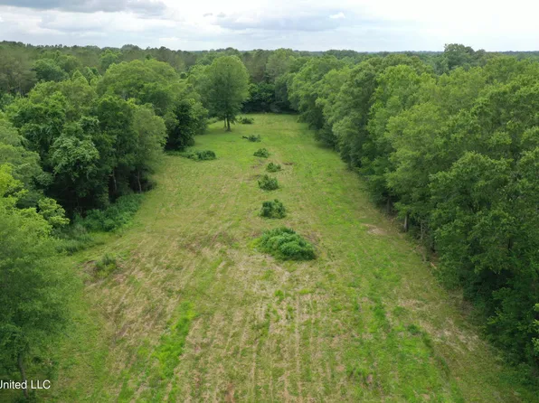 233 Horseshoe Ln, Flora, MS 39071