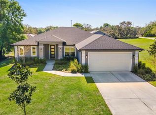 415 N Dixie Dr, Howey In The Hills, FL 34737