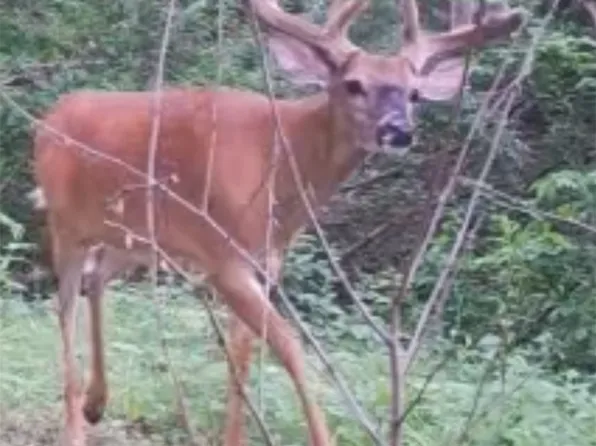 2533 290th St, Peru, IA 50222