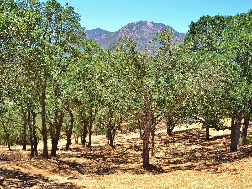 1st image of 0 Bragdon Way