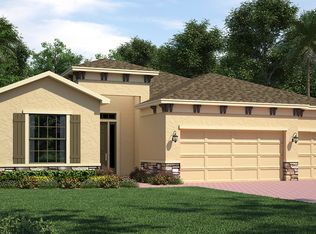 13438 Canopy Creek Dr, Tampa, FL 33625