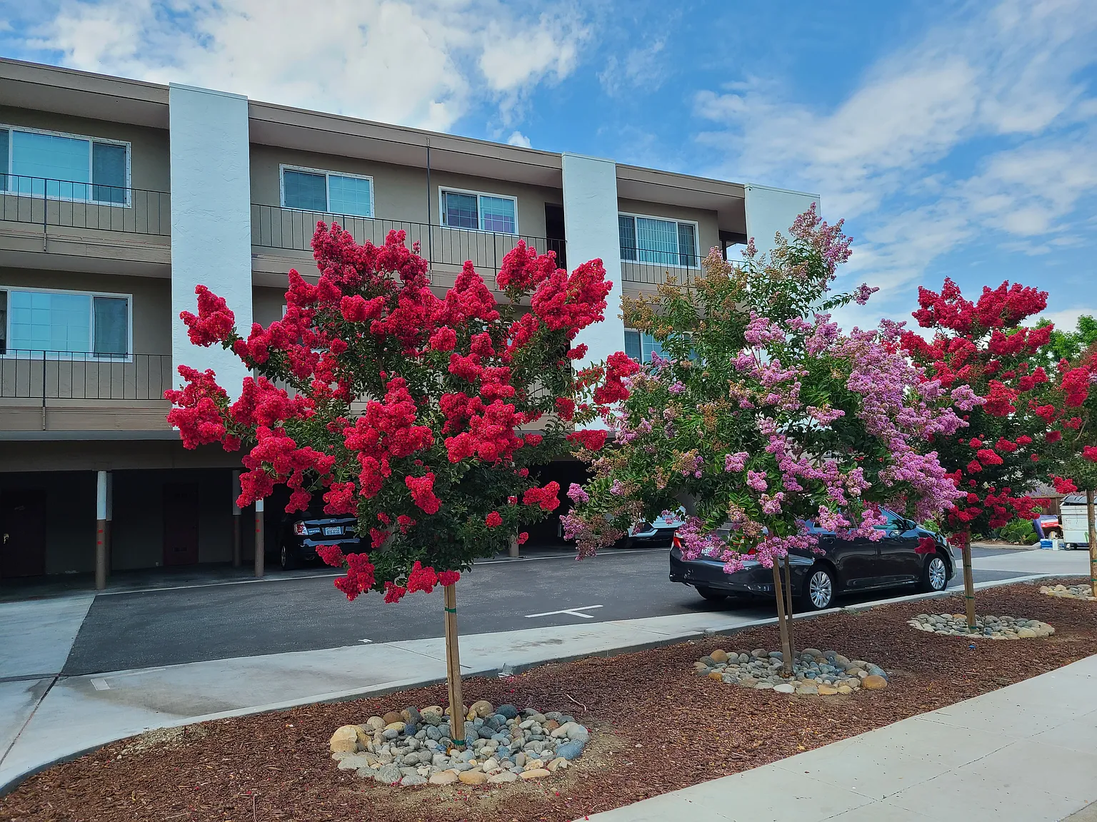 2 bed, 950 sqft, $2,395 — Photo 1