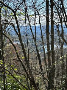 87 Ridge Colony Lane, Lake Toxaway, NC, 28747