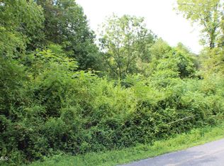 0 Early Branch Rd, Rogersville, TN 37857