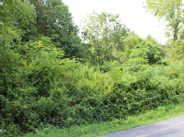 0 Early Branch Rd, Rogersville, TN 37857