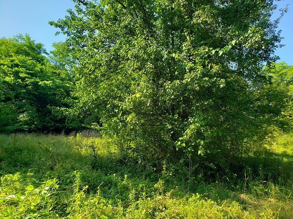 1st image of 0 County Road 87