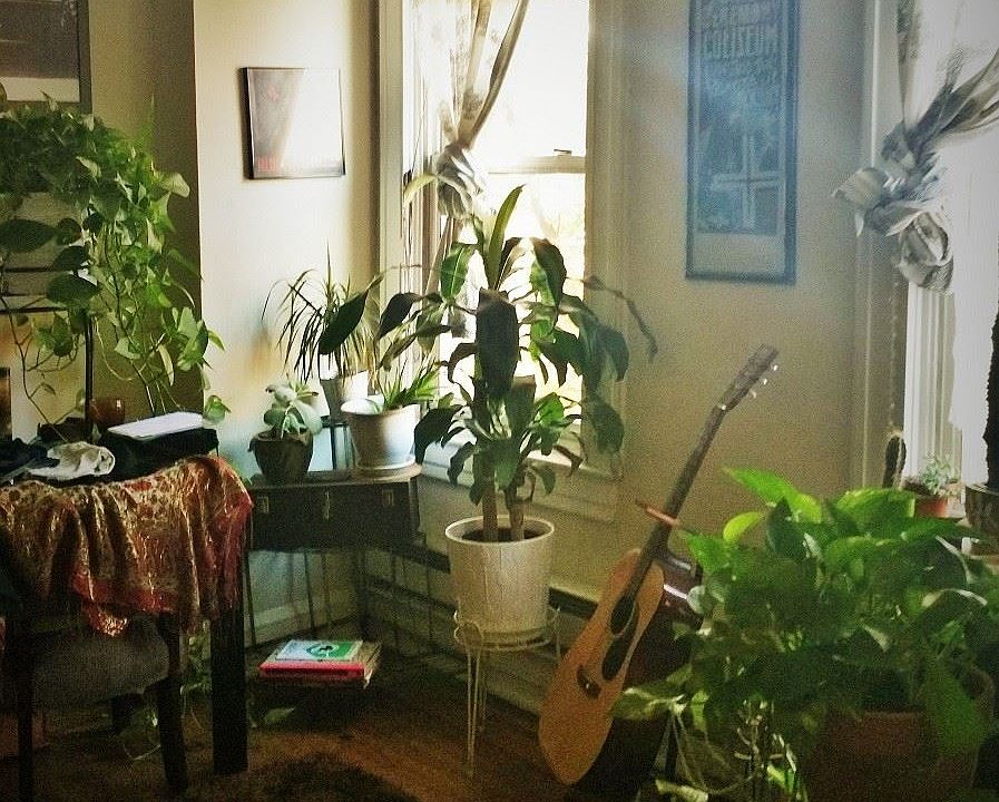 Apt 1 living room small