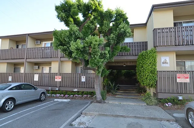 Chii Sai Apts...Gorgeous Apartment...Prime Westside Location...CALL NOW! — Photo 6