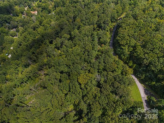 4th image of 52 Castanea Mountain Dr