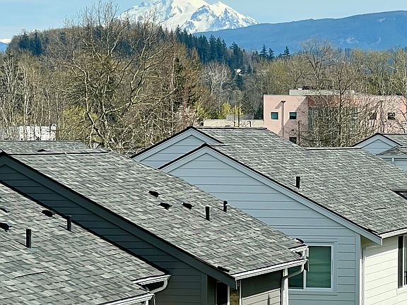 Mt. Baker view