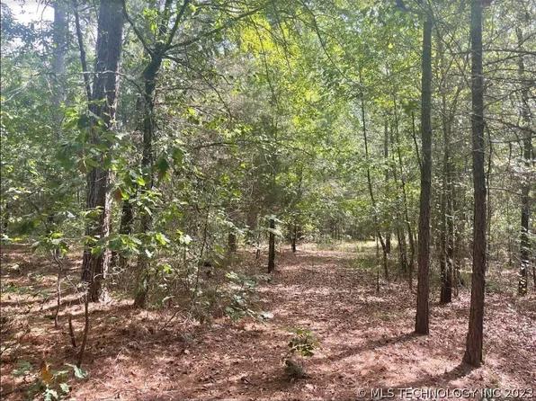 0 Little River Park Rd, Ringold, OK 74754