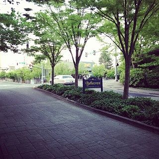 2nd image of 125 108th Ave SE APT 5