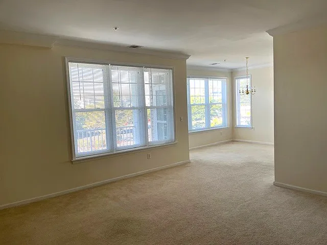 Living room and dining room