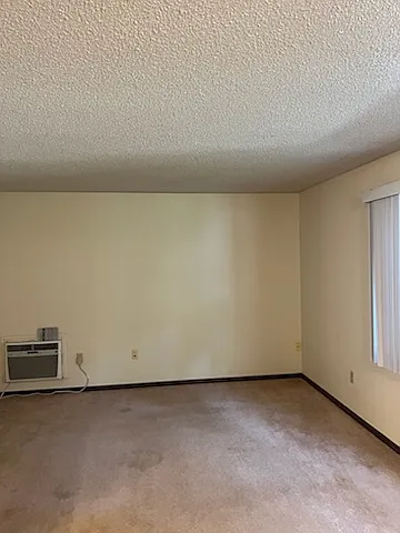 1 bed, $950 — Photo 3