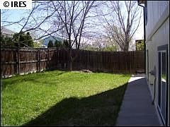 339 Elder. Backyard