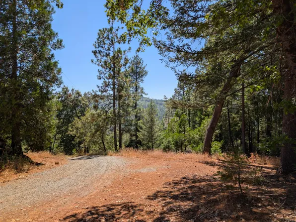 13025 Wild Life Ln, Grass Valley, CA 95945