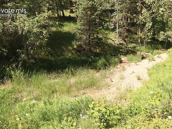 3rd image of 208 Coffee Pot Rd