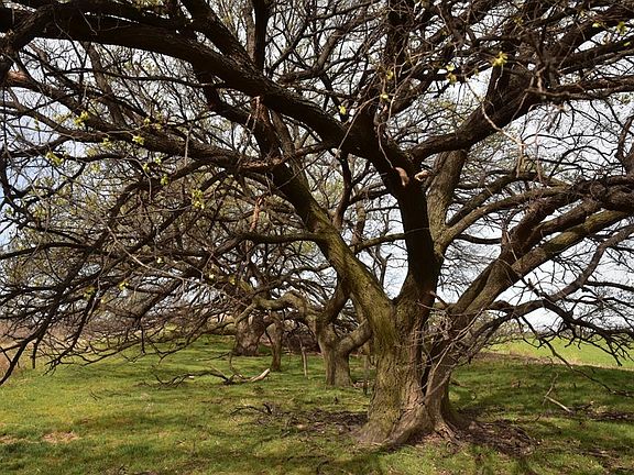 2nd image of Country Rd #450