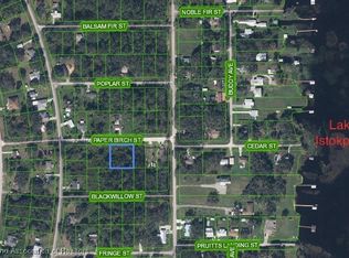 1509 Paper Birch St, Lake Placid, FL 33852