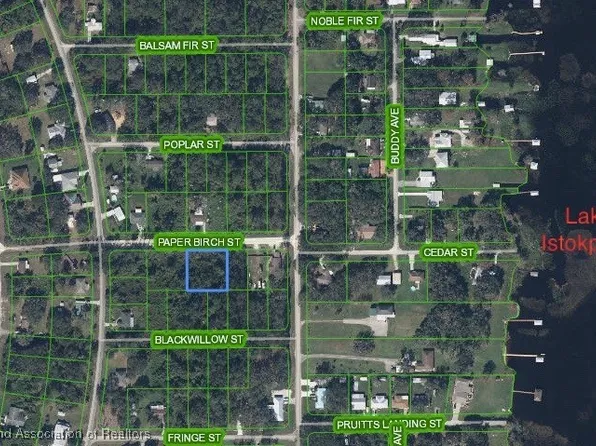 1509 Paper Birch St, Lake Placid, FL 33852
