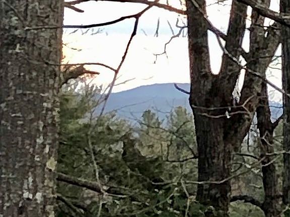 Blue Ridge Mountain View 