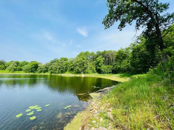 250th Ave, Erhard, MN 56534