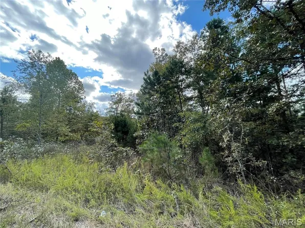 13 Woodland Hts, Poplar Bluff, MO 63901