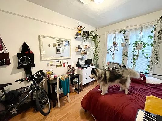 3rd image of 446 Suydam St APT 1R