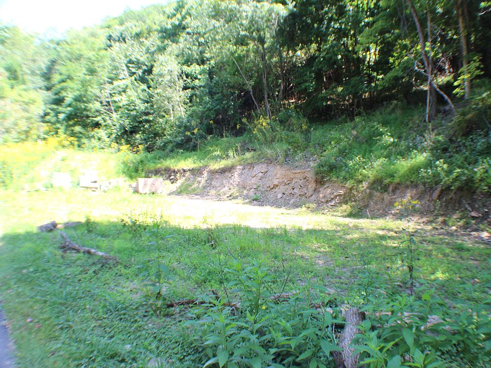 221 4th Ave Marlinton WV Zillow