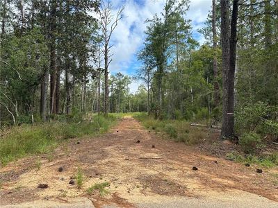 79356 Delaune Rd, Folsom, LA, 70437