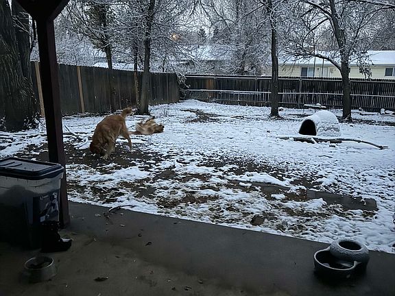 5th image of 3931 Whittier Dr