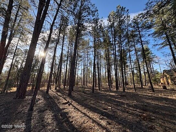 4th image of 2360 Narrow Leaf Ln Lot 15