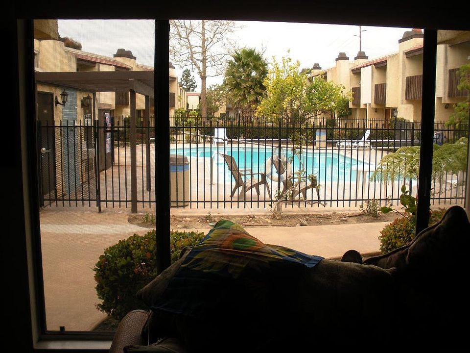 Living Room View Pool Facing