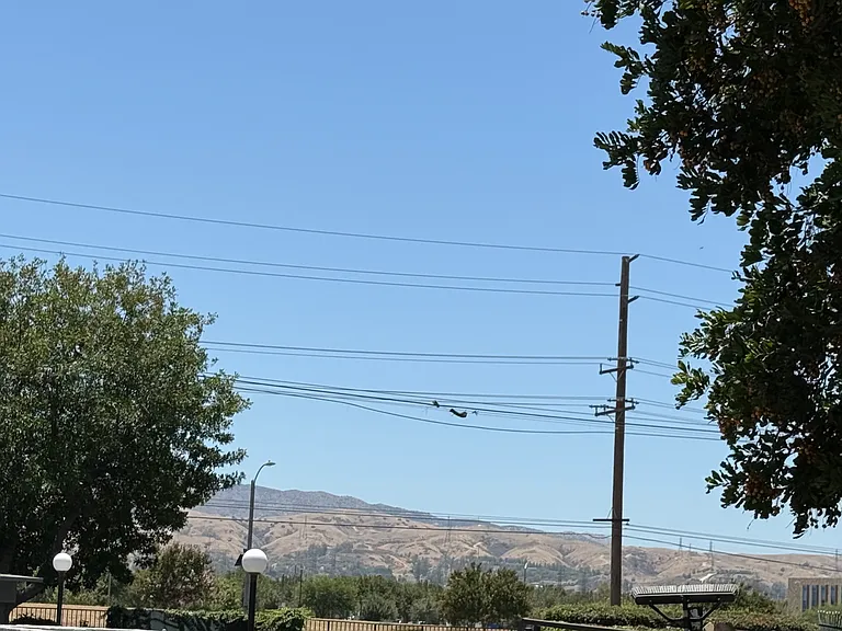 Redlands Blvd — Photo 14
