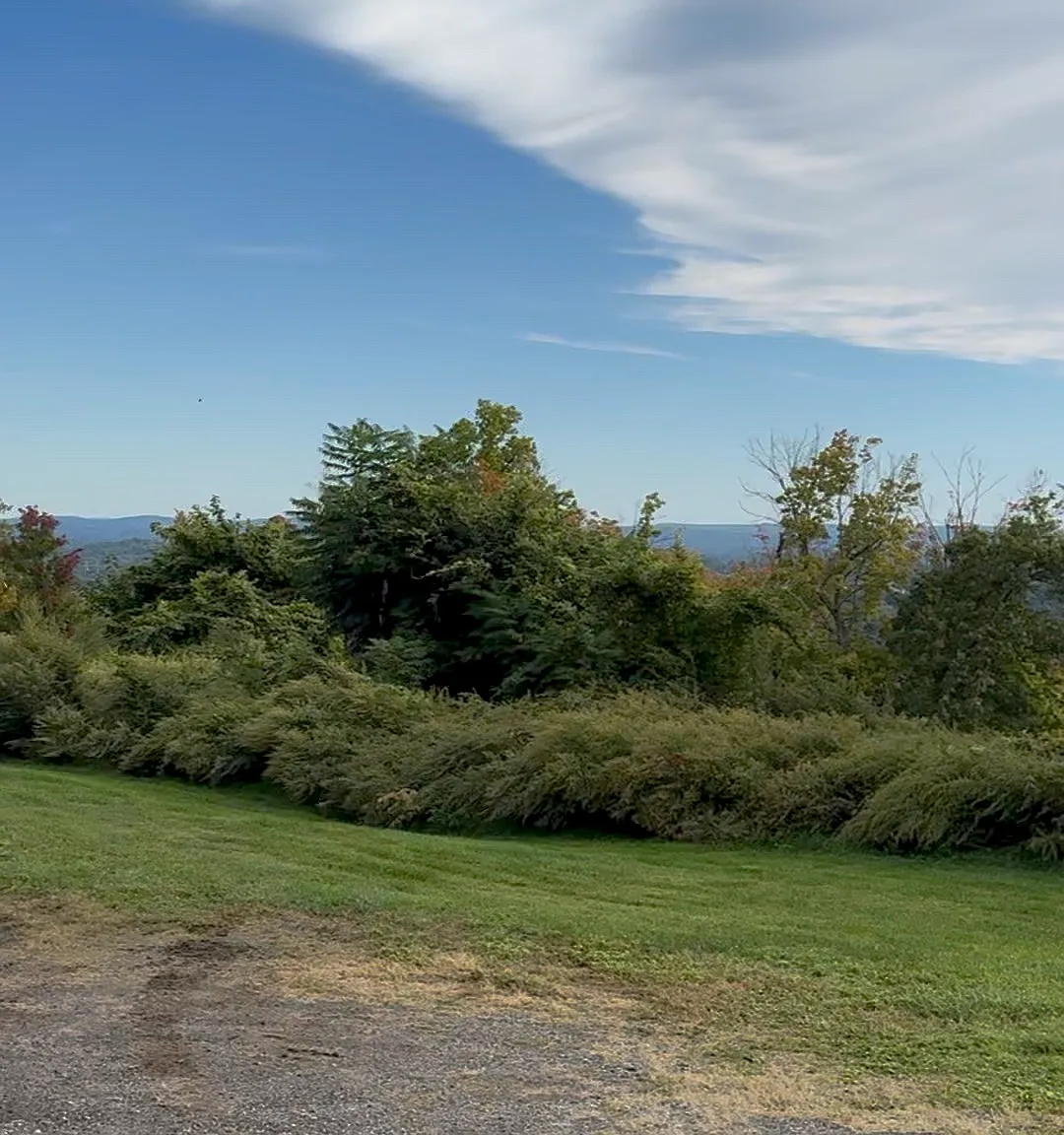 2 bed, $2,800 — Photo 3