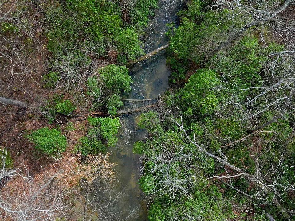 1st image of 447 Oak Tree Dr