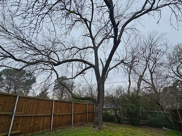 2115 Glenwood Ln — Photo 23