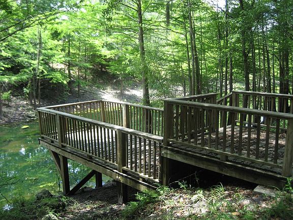 Fish off your own dock