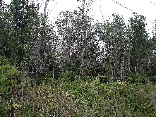 2nd image of Makoa Rd Lot 61