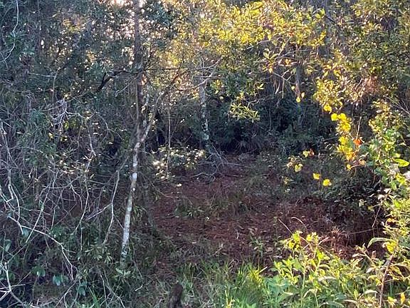3rd image of 0 Napoli Ln