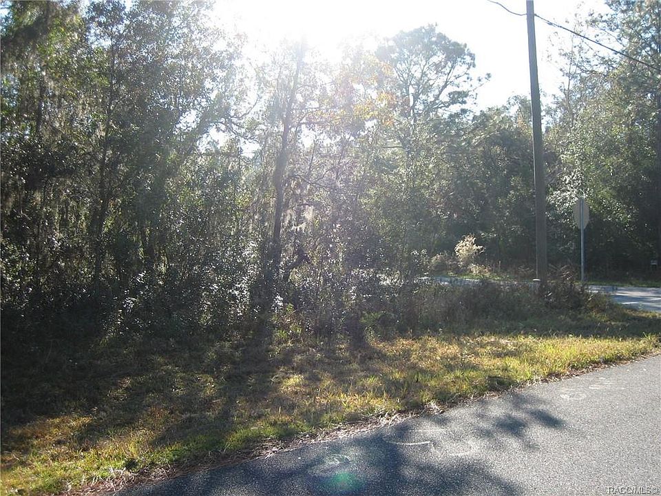2nd image of 8063 N Tiny Lily Dr