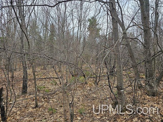 2nd image of 40 Acres Off Co Rd