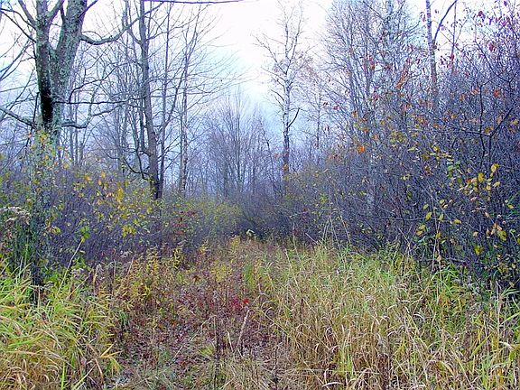 3rd image of 40 acres, Daley Road